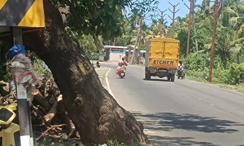 நடவடிக்கை எடுக்கப்படுமா? நடவடிக்கை எடுக்கப்படுமா?