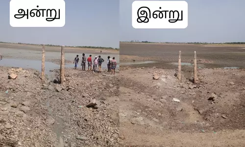 புகார் எதிரொலி புகார் எதிரொலி