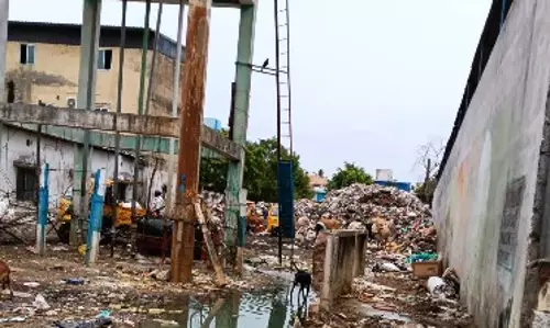 குப்பைமேடு குப்பைமேடு