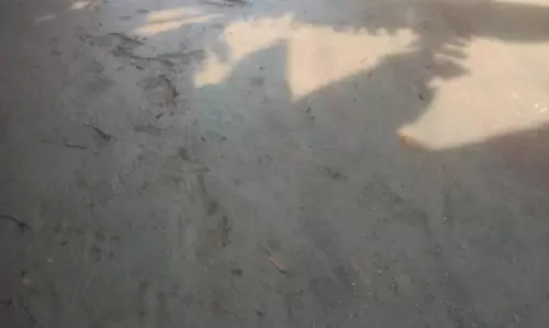 தார்சாலை அமைக்க வேண்டும்
