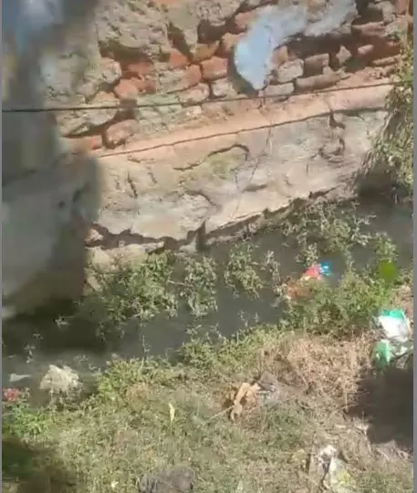 ஓடையில் தேங்கும் கழிவுநீர்