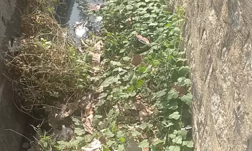 தூர்வாரப்படாத சாக்கடை கால்வாய்