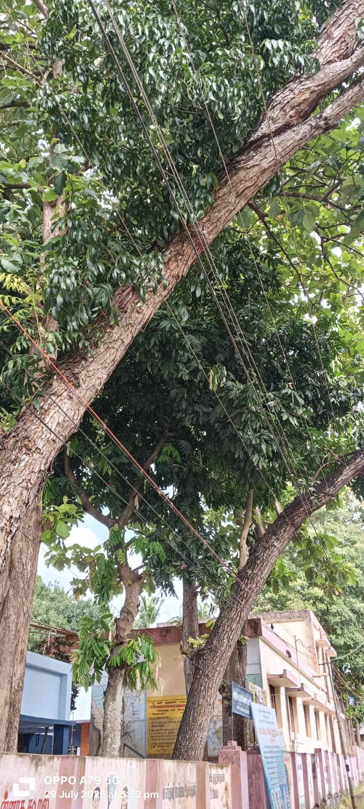 விபத்து அபாயம்