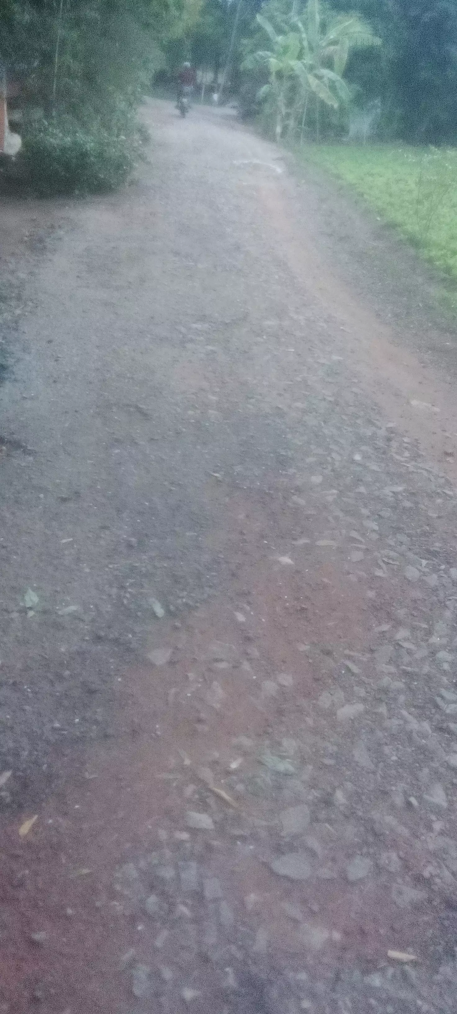 குண்டும், குழியுமான சாலை குண்டும், குழியுமான சாலை