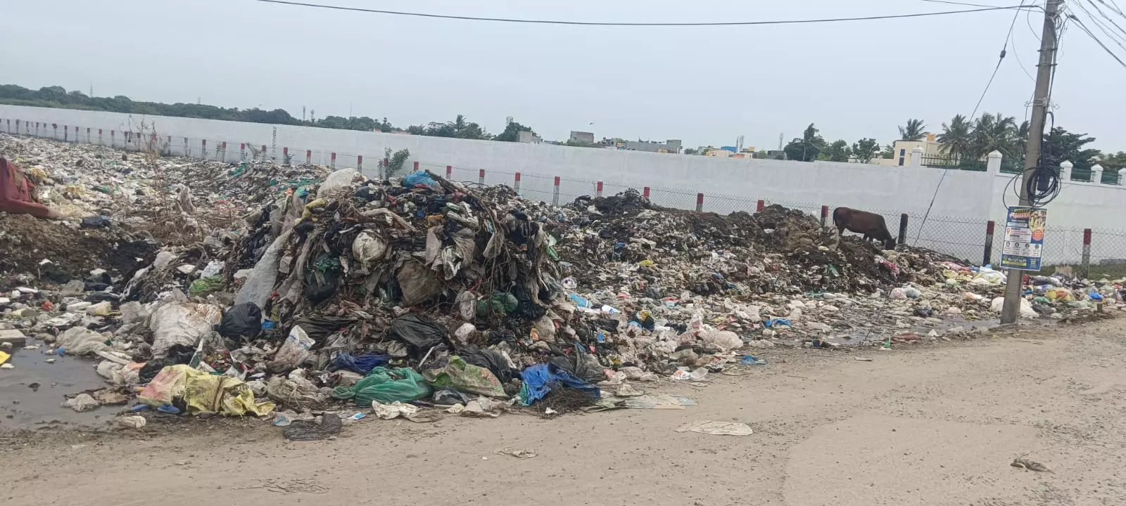 மலைபோல் குவிந்து கிடக்கும் குப்பை மலைபோல் குவிந்து கிடக்கும் குப்பை