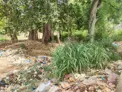 நோய் பரவும் அபாயம் நோய் பரவும் அபாயம்