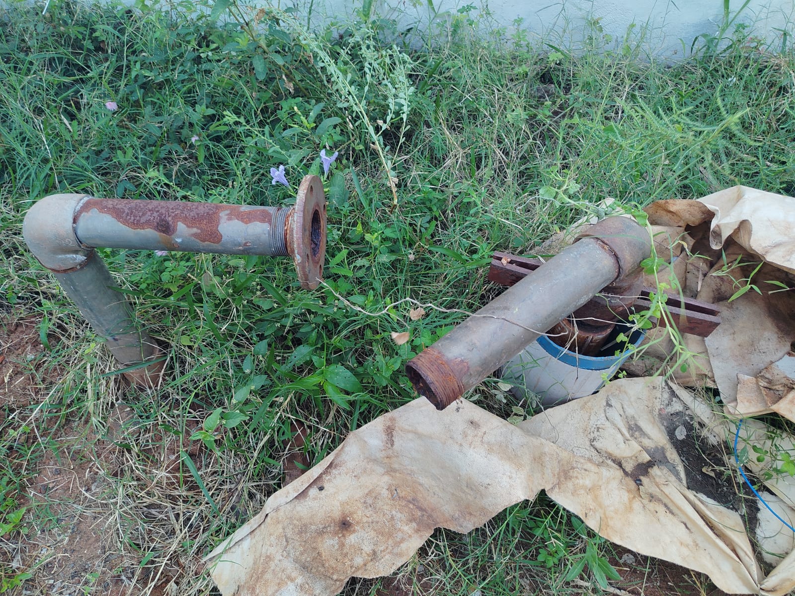 நடவடிக்கை தேவை