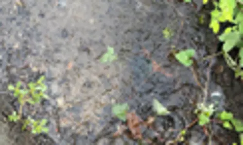 வீணாகும் குடிநீர் வீணாகும் குடிநீர்