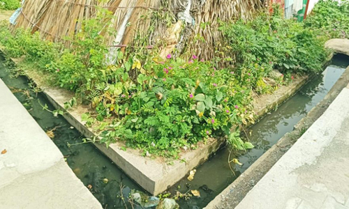 பாதியில் கைவிடப்பட்ட கால்வாய் பணி