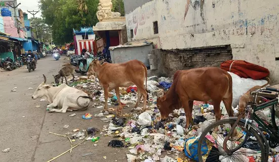 குப்பைகள் கொட்டுவது தடுக்கப்படுமா? குப்பைகள் கொட்டுவது தடுக்கப்படுமா?