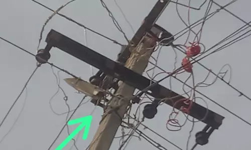 கீழே விழும் அபாயத்தில் மின் விளக்கு