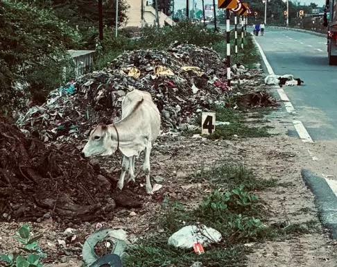 குப்பைத்தொட்டி வேண்டும் குப்பைத்தொட்டி வேண்டும்