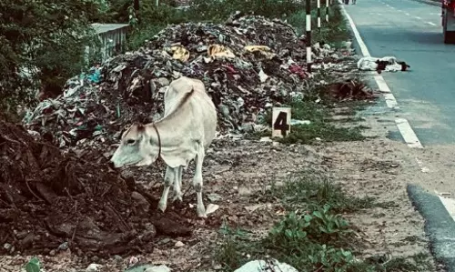 குப்பைத்தொட்டி வேண்டும் குப்பைத்தொட்டி வேண்டும்