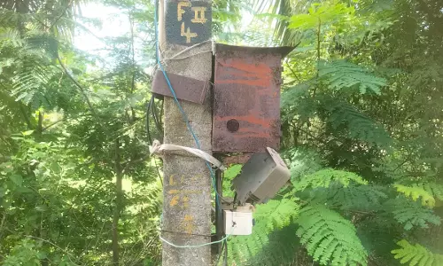 ஒளிராத மின்விளக்கு ஒளிராத மின்விளக்கு