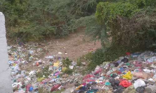 வாய்க்காலில் குவிந்துள்ள குப்பைகள் வாய்க்காலில் குவிந்துள்ள குப்பைகள்