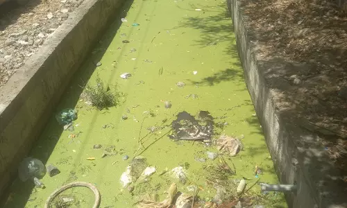 சாக்கடை வாய்க்காலை தூர்வார வேண்டும் சாக்கடை வாய்க்காலை தூர்வார வேண்டும்