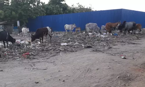 சுகாதாரக்கேடு சுகாதாரக்கேடு
