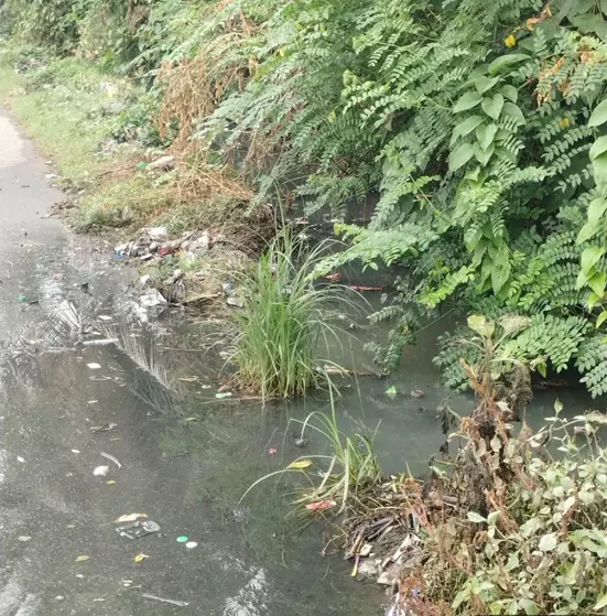 கழிவுநீர் கால்வாய் சீரமைக்கப்படுமா? கழிவுநீர் கால்வாய் சீரமைக்கப்படுமா?