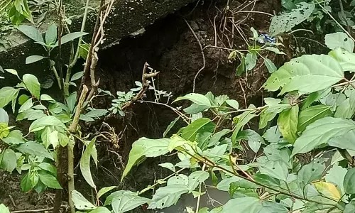நடைபாதையில் மண் அரிப்பு