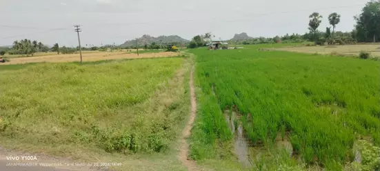 கால்வாய்களை தூர்வார வேண்டும் கால்வாய்களை தூர்வார வேண்டும்