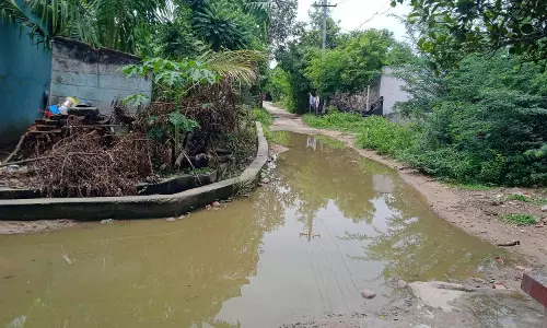 சாலையில் தேங்கும் கழிவுநீர் சாலையில் தேங்கும் கழிவுநீர்