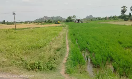 கால்வாய்களை தூர்வார வேண்டும்