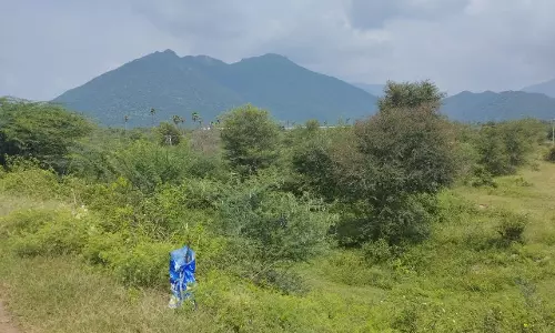 தடுப்பணை கட்ட கோரிக்கை தடுப்பணை கட்ட கோரிக்கை