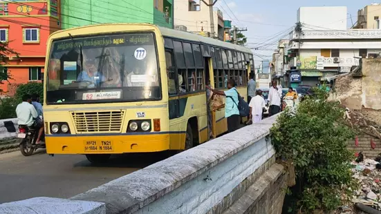 பாலத்தில் வளர்ந்துள்ள செடிகள் பாலத்தில் வளர்ந்துள்ள செடிகள்