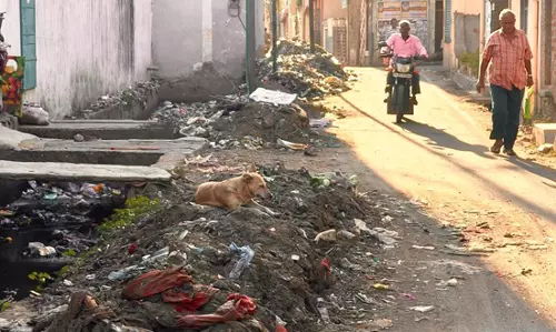 கழிவு மண்ணை அகற்றுவார்களா?