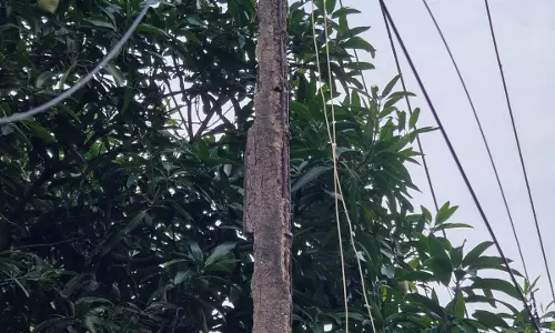 விபத்து அபாயம் விபத்து அபாயம்