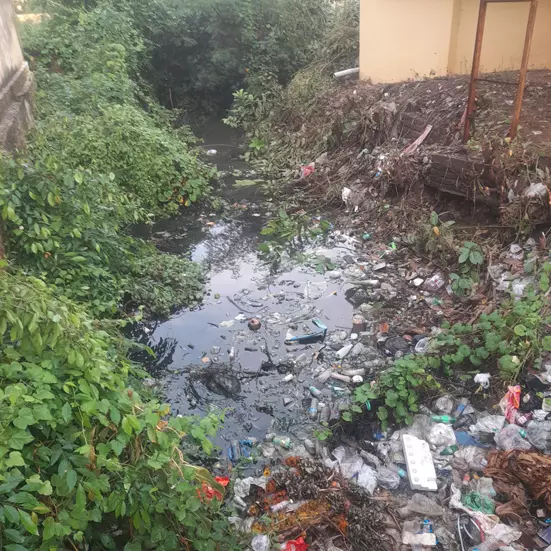 நீர்வரத்து கால்வாயை தூர்வாரி சீரமைப்பார்களா? நீர்வரத்து கால்வாயை தூர்வாரி சீரமைப்பார்களா?