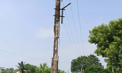 எலும்புக்கூடான மின்கம்பம் எலும்புக்கூடான மின்கம்பம்