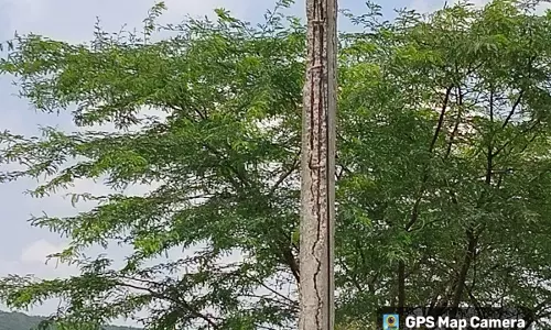 ஆபத்தான மின்கம்பம் ஆபத்தான மின்கம்பம்