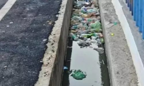 டெங்கு காய்ச்சல் பரவும் அபாயம் டெங்கு காய்ச்சல் பரவும் அபாயம்