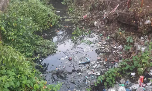 நீர்வரத்து கால்வாயை தூர்வாரி சீரமைப்பார்களா? நீர்வரத்து கால்வாயை தூர்வாரி சீரமைப்பார்களா?