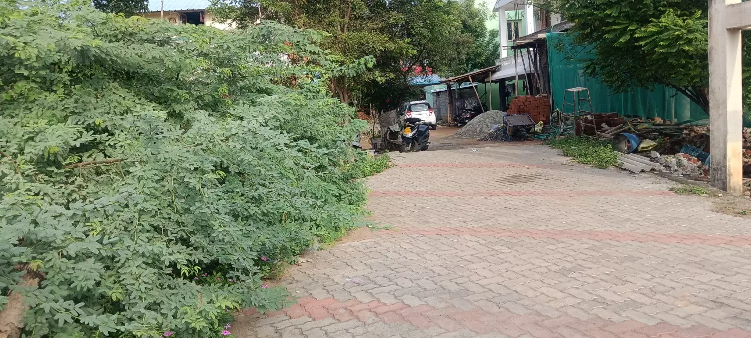போக்குவரத்து இடையூறு போக்குவரத்து இடையூறு