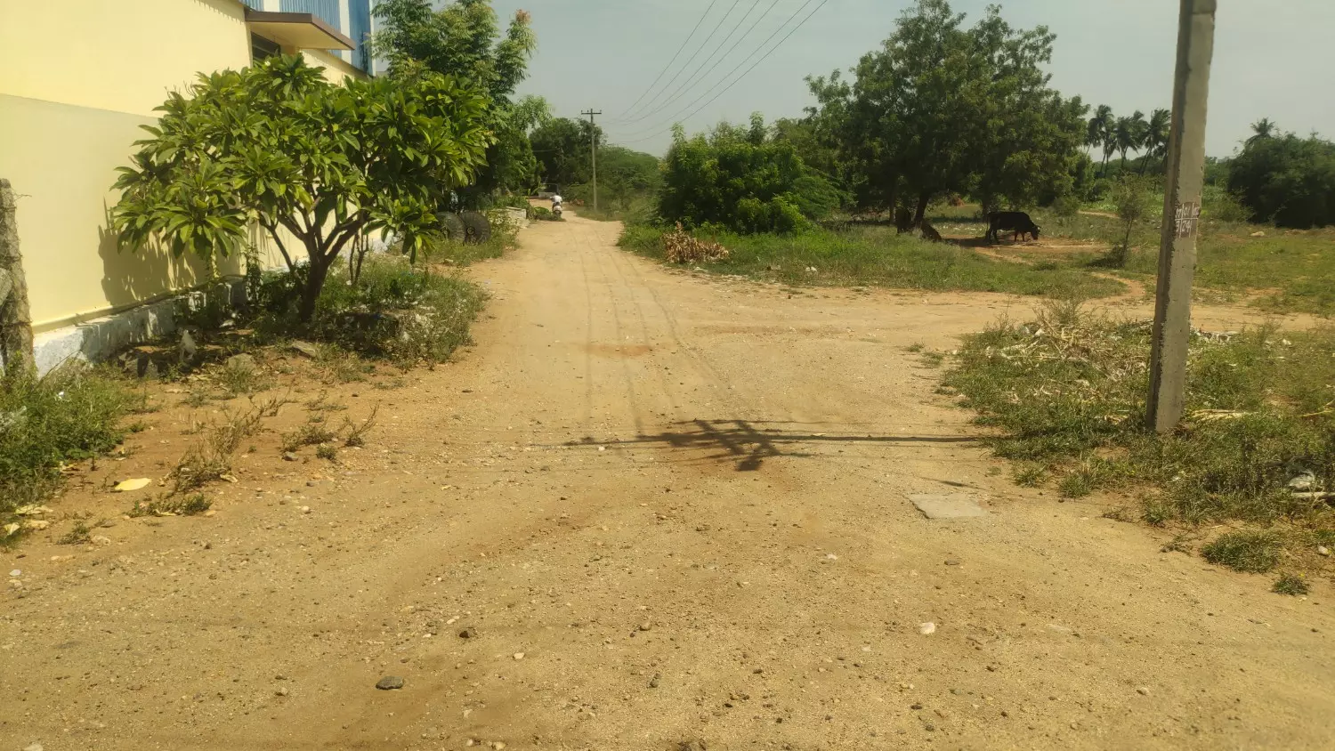 தார்சாலை அமைக்க வேண்டும் தார்சாலை அமைக்க வேண்டும்