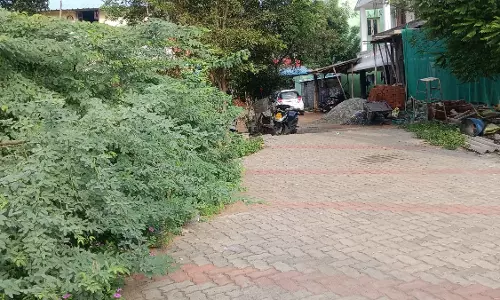 போக்குவரத்து இடையூறு