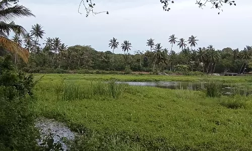 குளத்தை தூர்வார வேண்டும் குளத்தை தூர்வார வேண்டும்