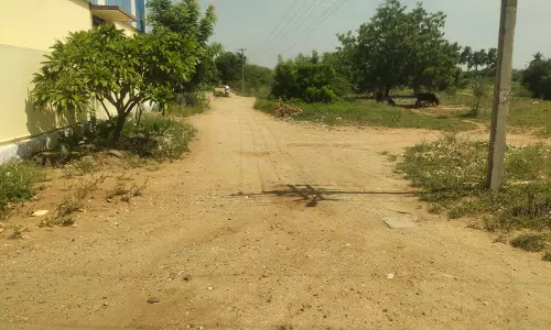 தார்சாலை அமைக்க வேண்டும் தார்சாலை அமைக்க வேண்டும்
