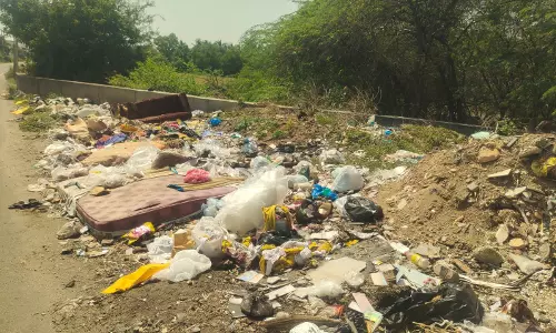 தேங்கியுள்ள குப்பைகள் தேங்கியுள்ள குப்பைகள்