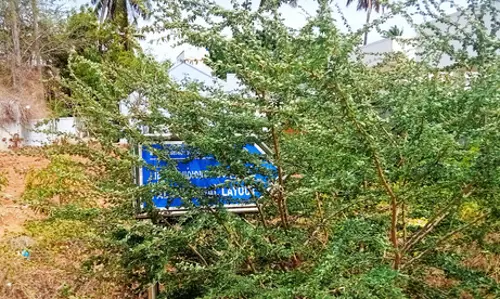 புதர் சூழ்ந்த பதாகை