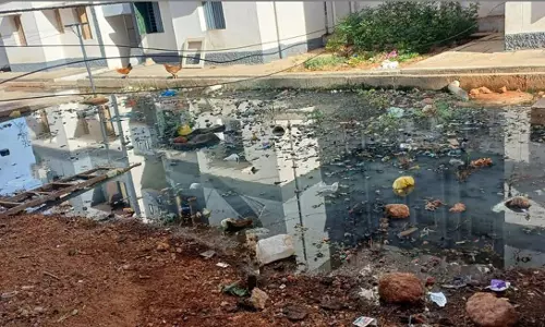 சுகாதாரக்கேடு