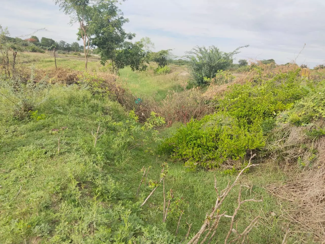 ஏரி சீரமைப்பு பணிகள் ஏரி சீரமைப்பு பணிகள்