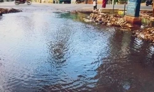 நடவடிக்கை எடுக்கப்படுமா? நடவடிக்கை எடுக்கப்படுமா?