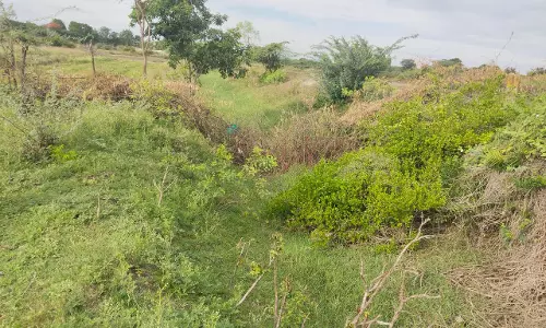 ஏரி சீரமைப்பு பணிகள் ஏரி சீரமைப்பு பணிகள்