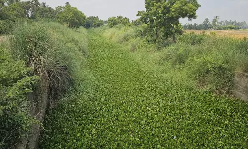 வாய்க்கால் தூர்வார வேண்டும்