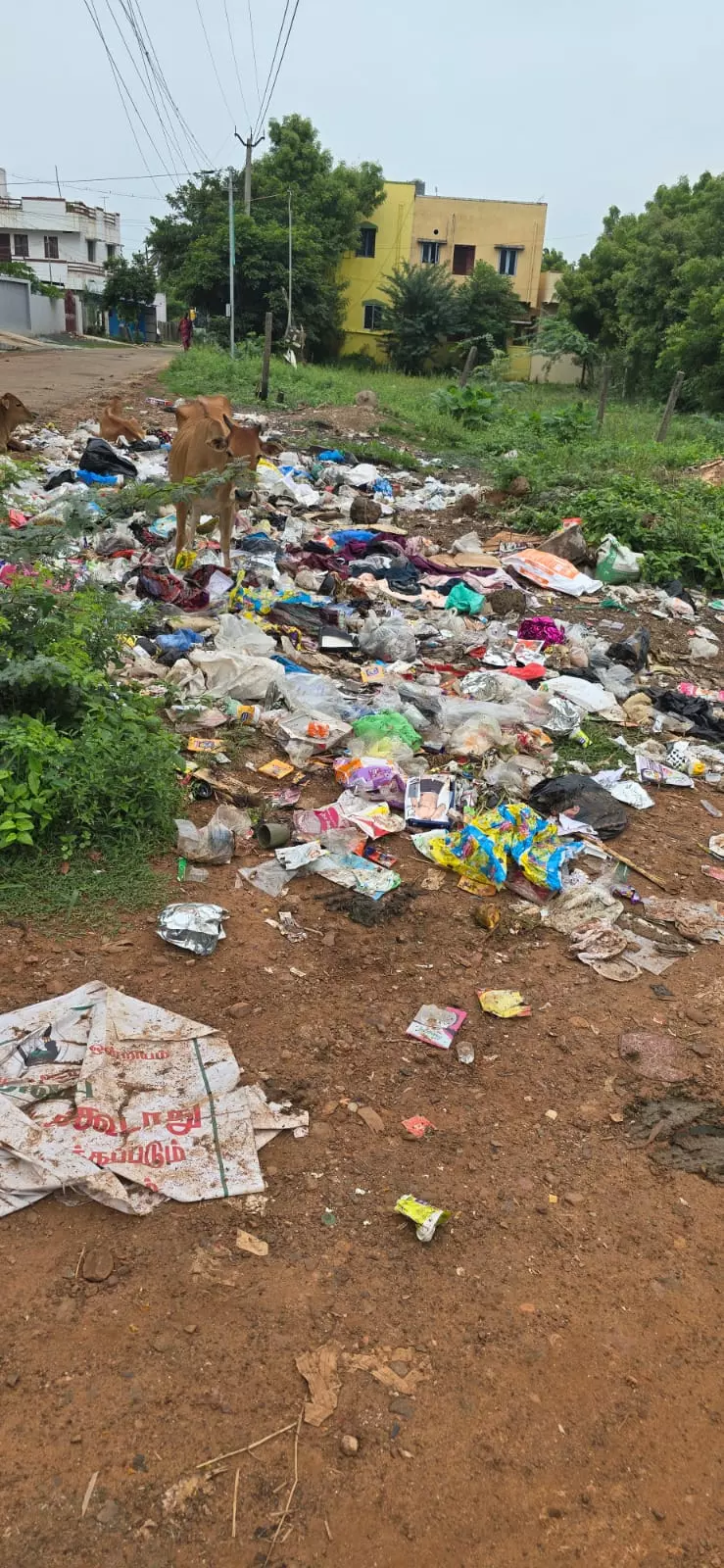 குவிந்து கிடக்கும் குப்பைகள் குவிந்து கிடக்கும் குப்பைகள்
