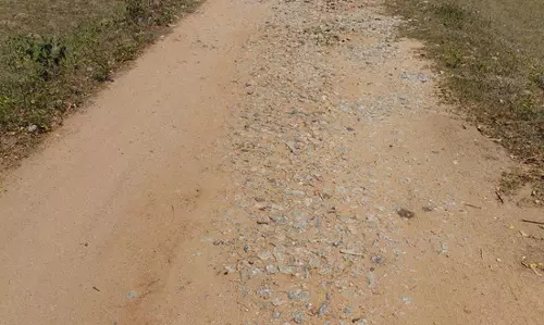 மண் சாலையை தார்சாலையாக மாற்ற வேண்டும்