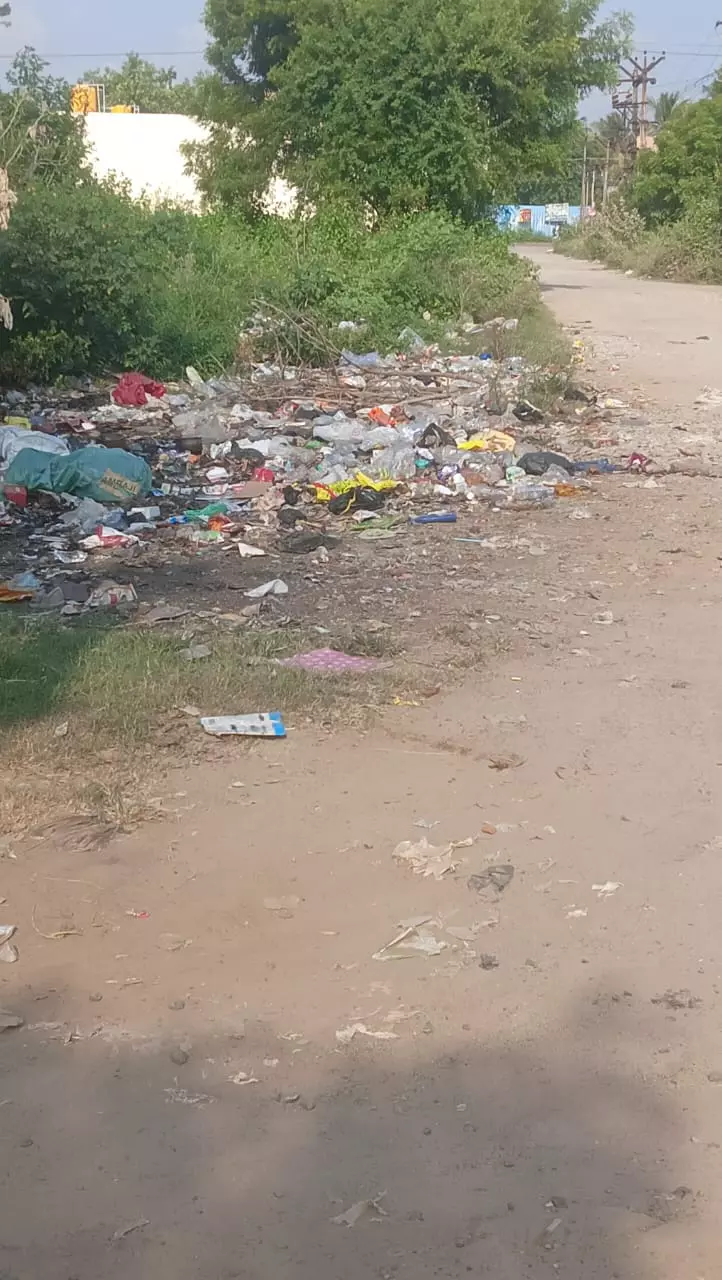 சாலையில் கொட்டப்படும் குப்பைகள் சாலையில் கொட்டப்படும் குப்பைகள்